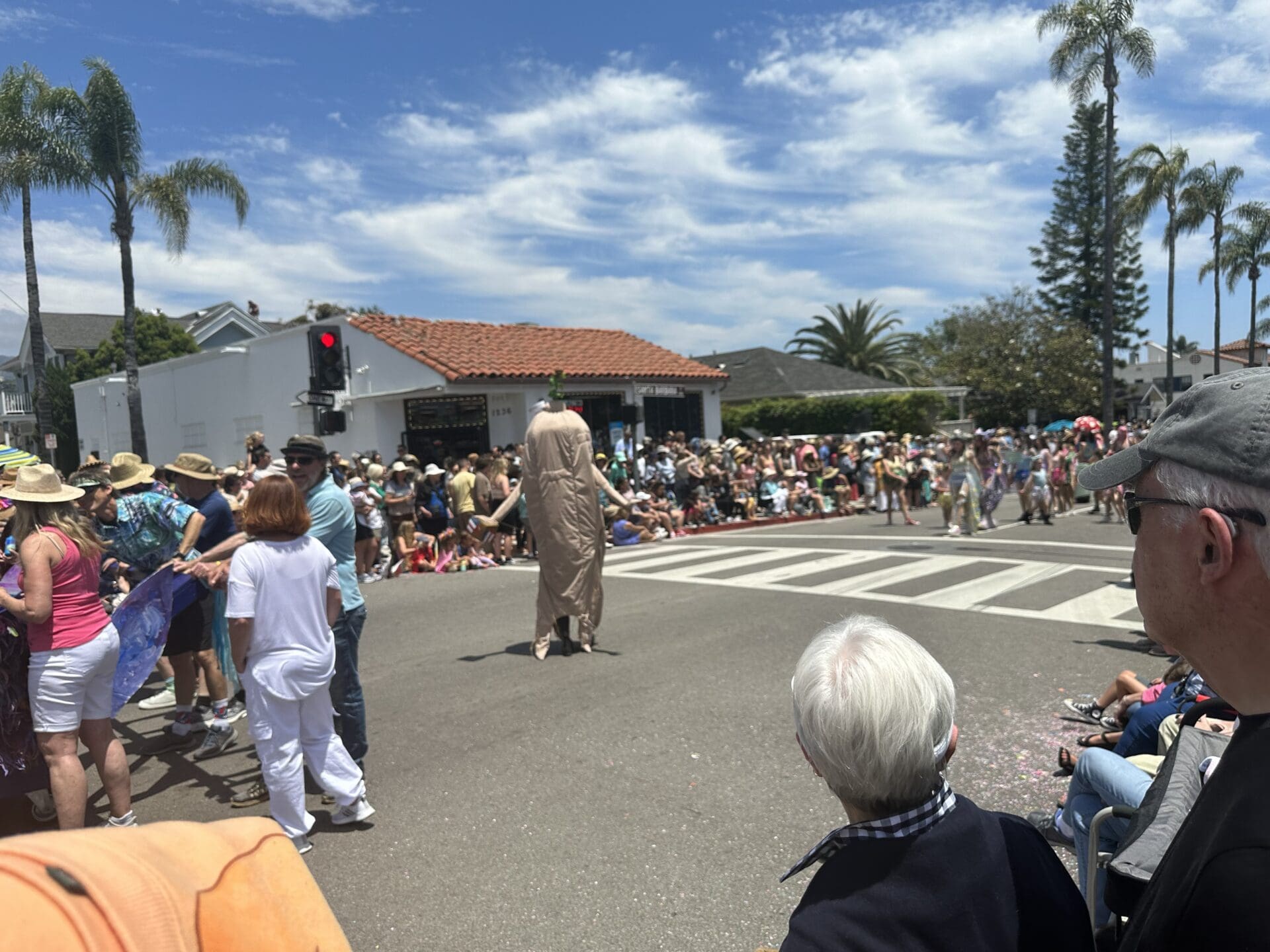 Summer Solstice Parade